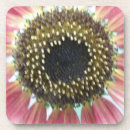 Suche nach sunflower untersetzer Blume