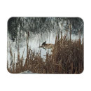 Recherche de menace vœux cartes Espèce menacée