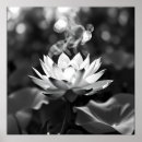 Recherche de lotus de art Méditation
