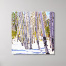 Suche nach aspen leinwandbilder Natur