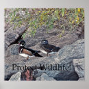Suche nach naturschutz poster Wildtiere