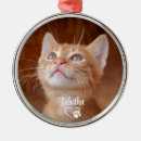 Recherche de animaux ornements Garder
