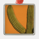 Suche nach dorn ornamente Pflanze