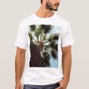 Recherche de palmtree Arbre