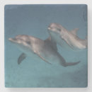 Suche nach posen untersetzer Natur