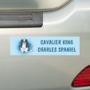 Suche nach cavalier king charles spaniel autoaufkleber Reiter