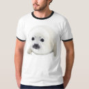 Recherche de bébés phoques tshirts Club