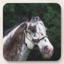 Suche nach appaloosa untersetzer Reiter