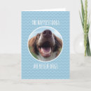 Suche nach rettungs karten Schutz