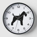 Recherche de terriers horloges Chien