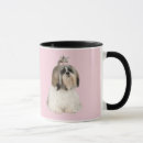 Recherche de shitzu tasses Chien