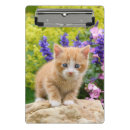 Suche nach katzenliebhaber klemmbrett Lustig