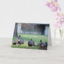 Recherche de dindons cartes postales Faune