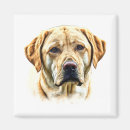 Suche nach labrador retriever hund magnete Kaninchen