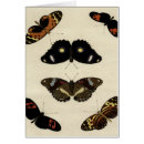 Recherche de arrière plan crème cartes postales Papillon