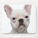 Suche nach der französischen bulldogge mousepads Tier