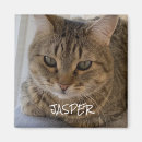 Recherche de cat magnets Tendance