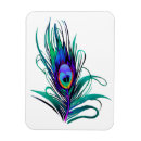 Recherche de oiseaux exotiques magnets Paon