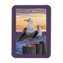 Recherche de mouettes magnets Mer