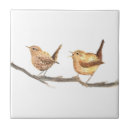 Suche nach bunter vogel fliesen Aquarell