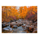 Recherche de le nevada photographie Automne