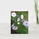 Suche nach sorten karten Blume