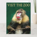 Suche nach zoo karten Affe
