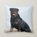 Suche nach rottweiler kissen Rottie