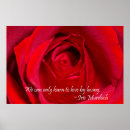 Suche nach stationär poster Blume