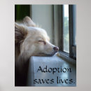 Suche nach meine beste freundin poster Haustiere