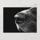 Suche nach schwarz weiß tiere postkarten Lustig