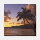 Recherche de paradis magnets Coloré