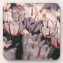 Suche nach gartenbau untersetzer Blume