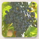 Suche nach weinrebe untersetzer Land