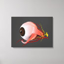 Recherche de objet simple art Détail