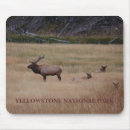 Suche nach wildes tier mousepads Wildnis