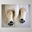 Suche nach goldene retriever poster Niedlich