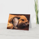 Recherche de sheltie vœux cartes Dog