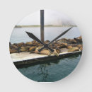Recherche de phoque horloges Océan