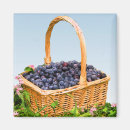 Suche nach korb magnete Obst