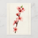 Recherche de peintures roses cartes postales Vintage