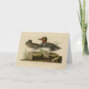 Suche nach flügel karten Vogelvogel