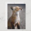 Recherche de odeurs vœux cartes Animal