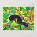 Recherche de oeuf jaune cartes postales Oeufs