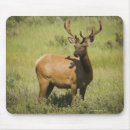 Suche nach yellowstone nationalpark mousepads Natur