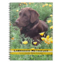 Recherche de poppy carnets Floral
