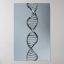 Suche nach dna poster Biologie