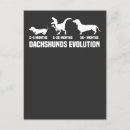 Suche nach evolution Dackel