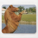 Recherche de cheval miniature tapis souris Plomb langrish