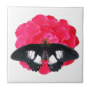 Recherche de peintures de rose rouge carreaux Fleur